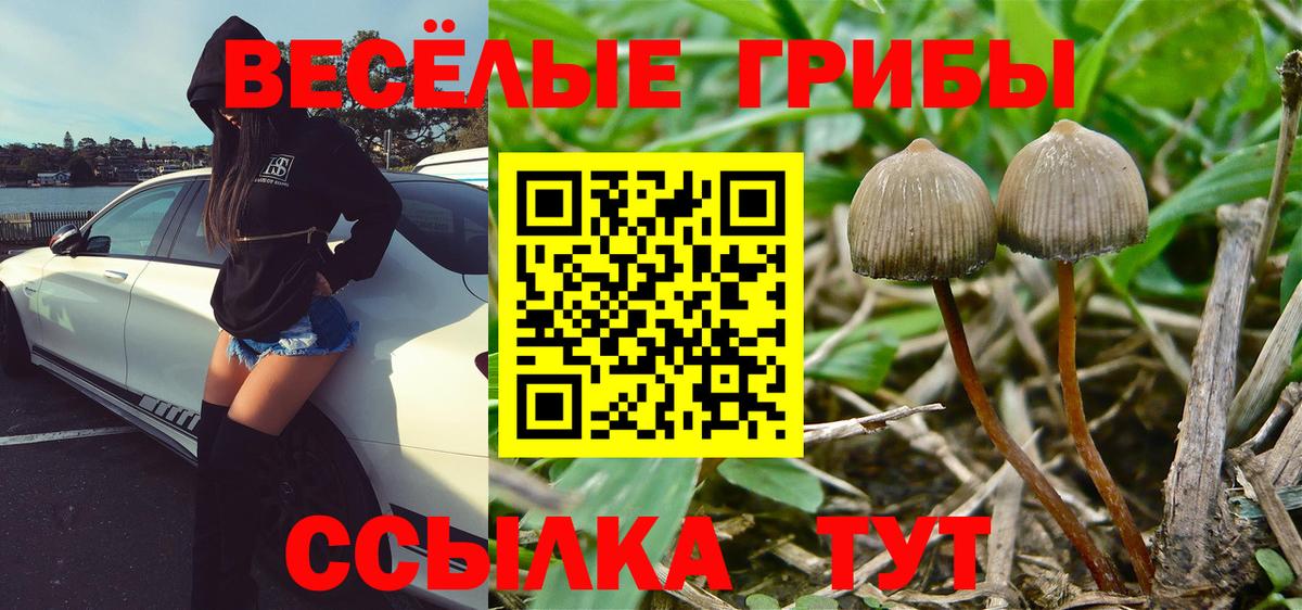 наркота  Псилоцибиновые грибы прущие грибы  Вход с VPN  Белорецк  Галлюциногенные грибы Cubensis 